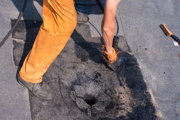 Düz çatı koruması