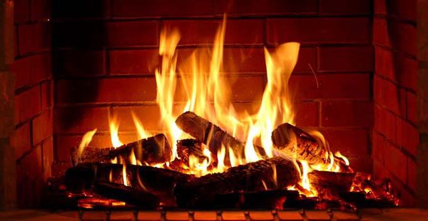 Firebox kapı contası