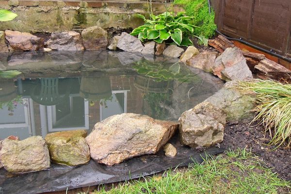 bahçe havuzu bakımı